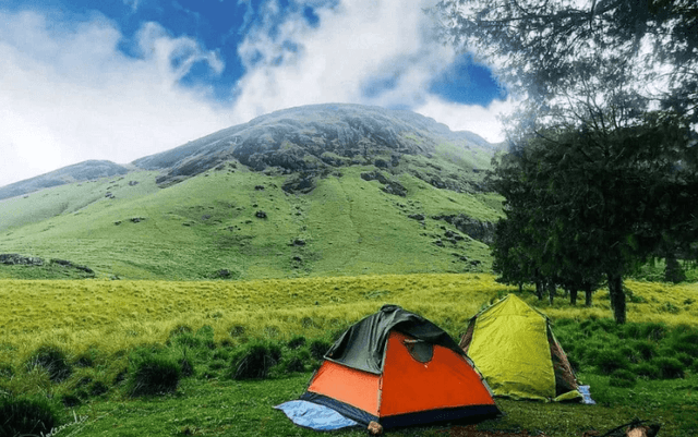 Camping Gallery Image 4