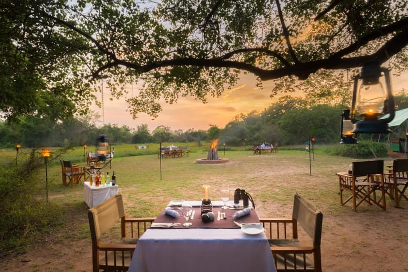 Wilpattu forest edge